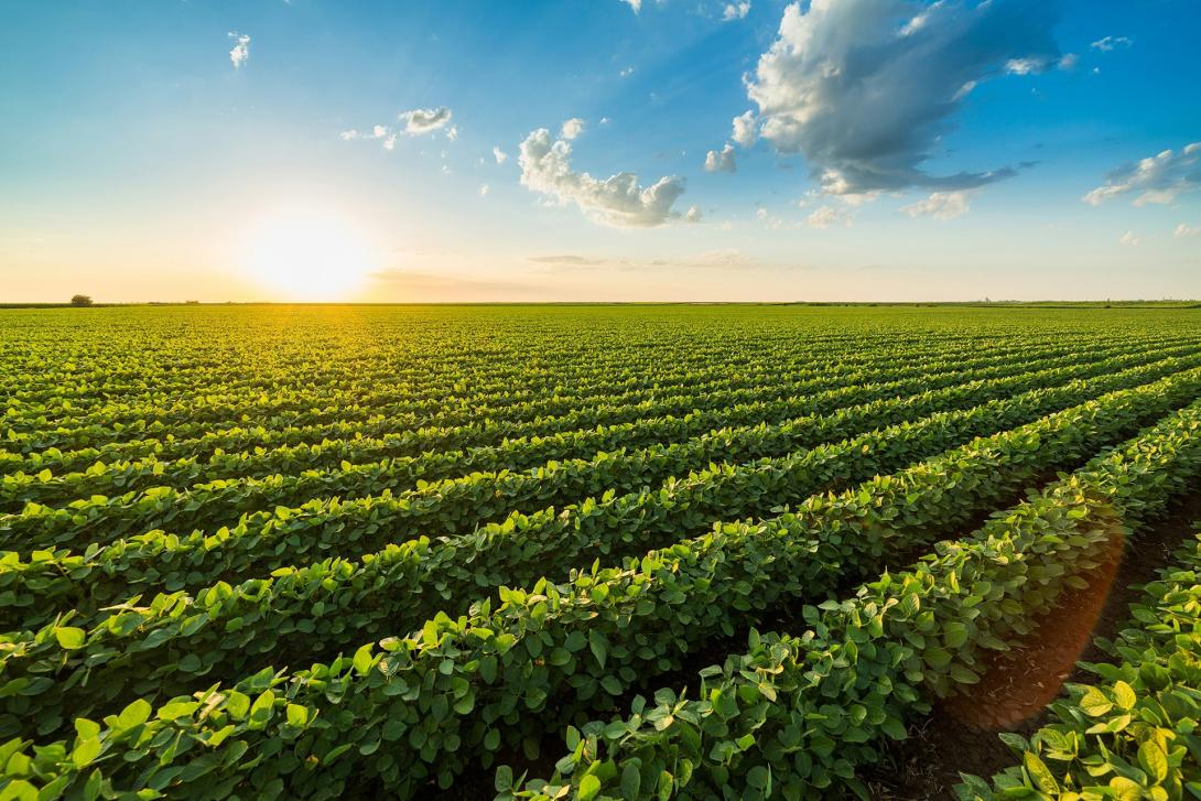 Agri-food community