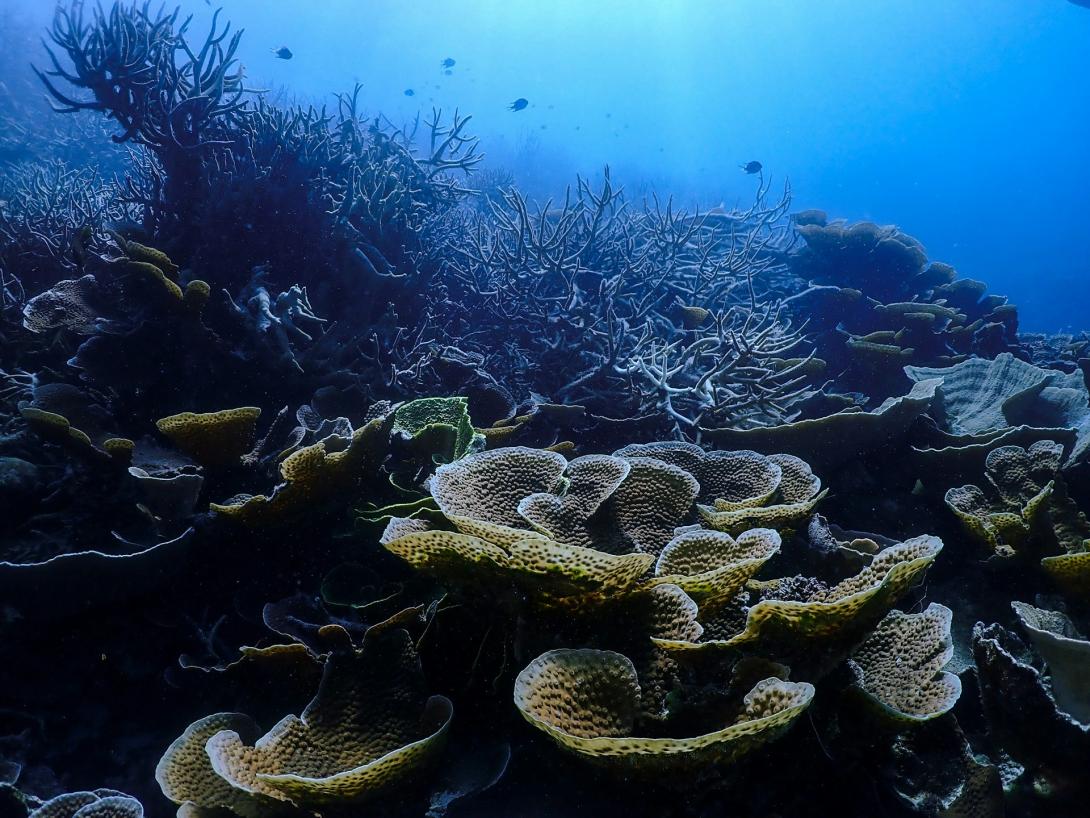 Marine science community
